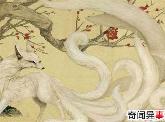 九尾狐真的存在吗?揭秘古代神话传说中的九尾狐