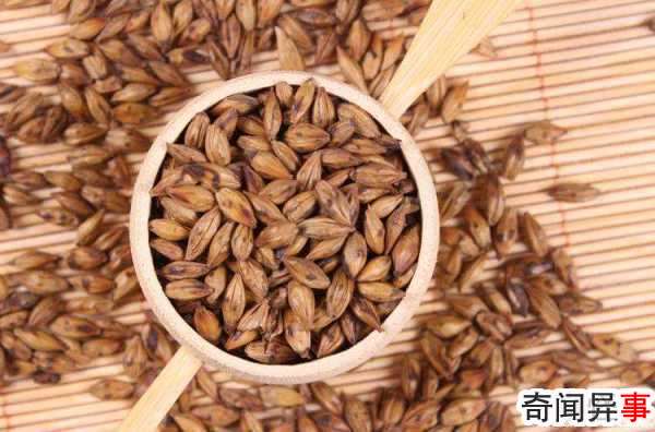 大麦茶是去火还是上火的?