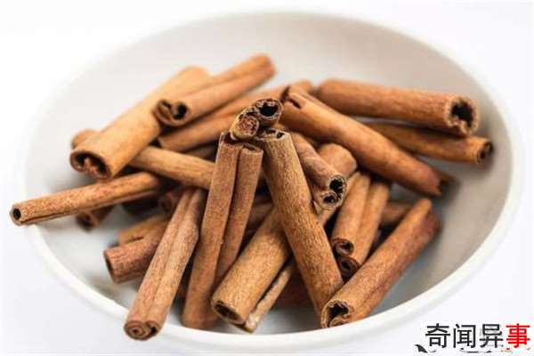 cinnamonʲôʳ cinnamonùΣЩ