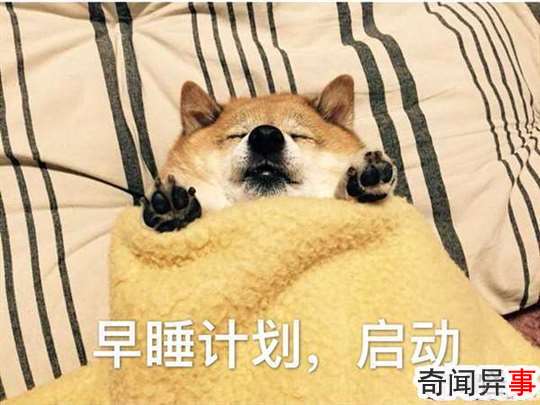 Ϊʲôϲ˯?ԭϲ
