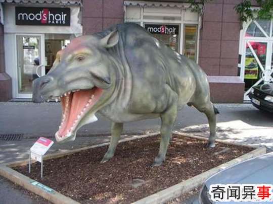 ʷǰ6 ̩̹ʷ߿ɴ12