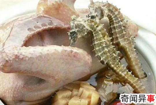 海马是什么动物类型 它是海洋中小型的鱼类
