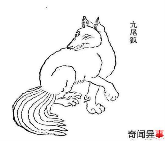 九尾狐真的存在吗?揭秘古代神话传说中的九尾狐