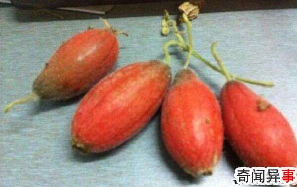 改刀肉是什么地方的菜,东北菜(一道非常重视刀工的菜)