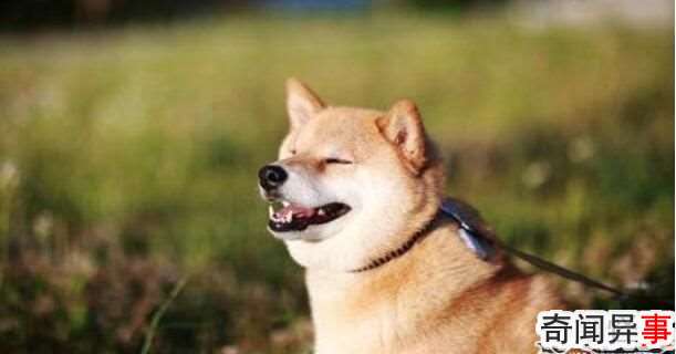 ΢Цöɥ΢ЦĹ¼α