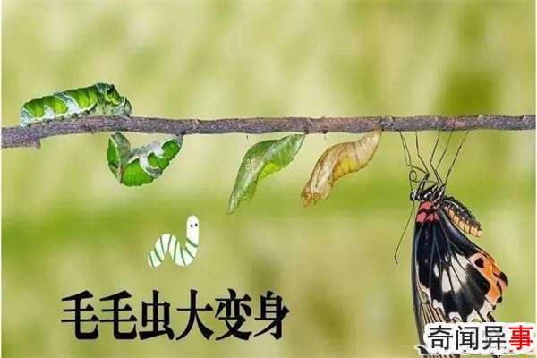 ëëôɺģƼɵ׳𽥳