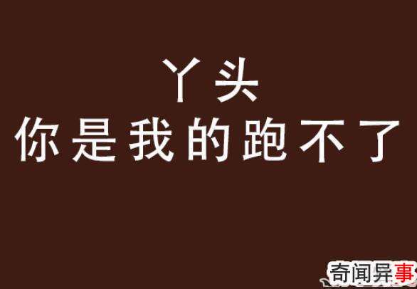 丫头文学是什么梗 丫头文学是什么意思呢