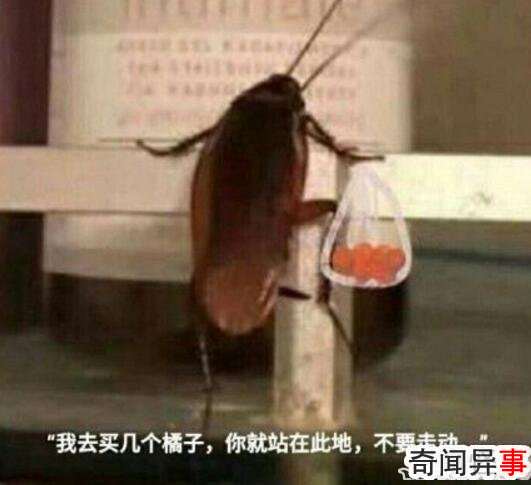 屳Ӱʲôְȥ(٩)