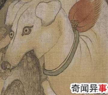 哮天犬的来历,哮天犬在天上是什么神(辅助二郎神斩妖除魔)