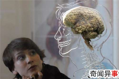 ʶ״治 ѧҳ־ֻĻþ