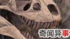 ʷǰ첸鶯´4500